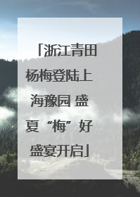 浙江青田杨梅登陆上海豫园 盛夏“梅”好盛宴开启