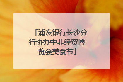 浦发银行长沙分行协办中非经贸博览会美食节