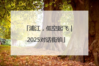 浦江，低空起飞｜2025对话街镇