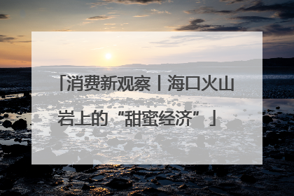 消费新观察丨海口火山岩上的“甜蜜经济”