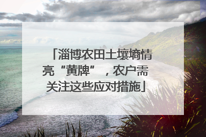 淄博农田土壤墒情亮“黄牌”，农户需关注这些应对措施
