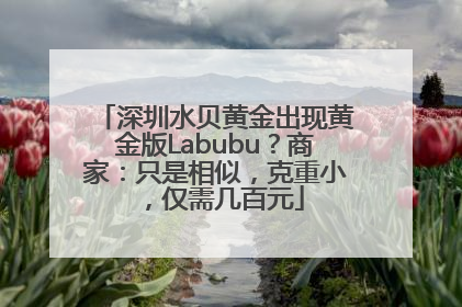 深圳水贝黄金出现黄金版Labubu？商家：只是相似，克重小，仅需几百元