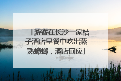 游客在长沙一家桔子酒店早餐中吃出蒸熟蟑螂，酒店回应