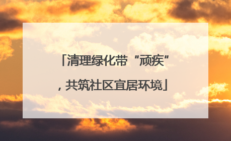 清理绿化带“顽疾”，共筑社区宜居环境