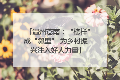 温州苍南：“榜样”成“邻里” 为乡村振兴注入好人力量