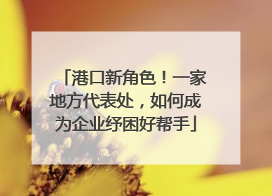 港口新角色！一家地方代表处，如何成为企业纾困好帮手