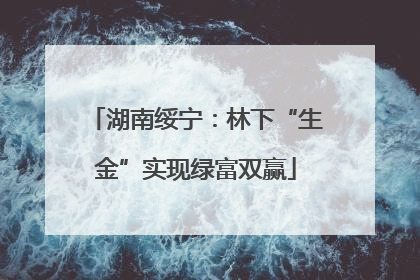 湖南绥宁：林下“生金”实现绿富双赢