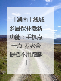 湖南上线城乡居保补缴新功能：手机点一点 养老金提档不用跑腿