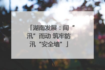 湖南发展：闻“汛”而动 筑牢防汛“安全墙”