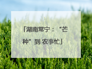 湖南常宁：“芒种”到 农事忙