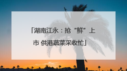 湖南江永：抢“鲜”上市 供港蔬菜采收忙