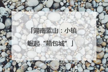 湖南蓝山：小镇崛起“箱包城”