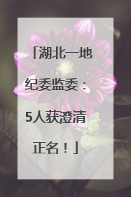 湖北一地纪委监委：5人获澄清正名！