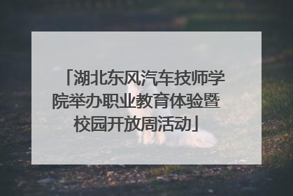 湖北东风汽车技师学院举办职业教育体验暨校园开放周活动