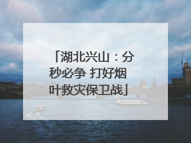 湖北兴山：分秒必争 打好烟叶救灾保卫战