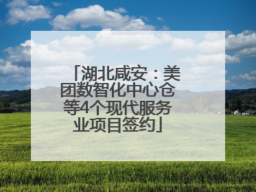 湖北咸安：美团数智化中心仓等4个现代服务业项目签约