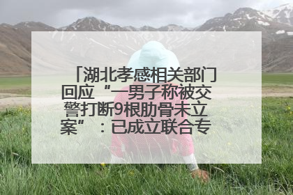 湖北孝感相关部门回应“一男子称被交警打断9根肋骨未立案”：已成立联合专班开展工作