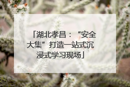 湖北孝昌：“安全大集”打造一站式沉浸式学习现场