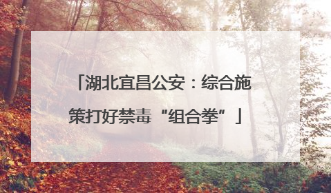 湖北宜昌公安：综合施策打好禁毒“组合拳”