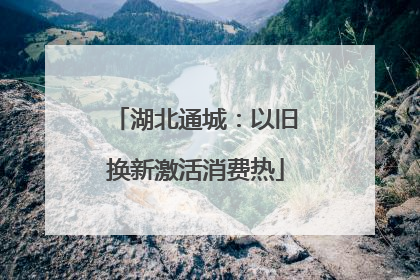 湖北通城：以旧换新激活消费热