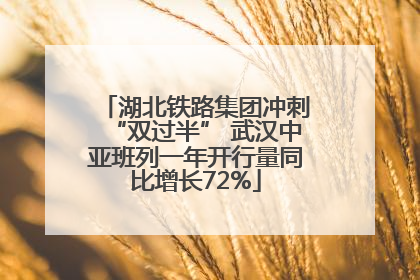 湖北铁路集团冲刺“双过半” 武汉中亚班列一年开行量同比增长72%