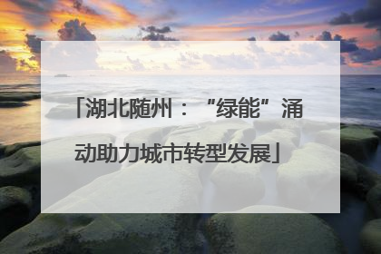 湖北随州：“绿能”涌动助力城市转型发展