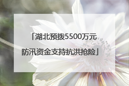 湖北预拨5500万元防汛资金支持抗洪抢险