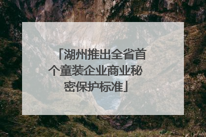 湖州推出全省首个童装企业商业秘密保护标准