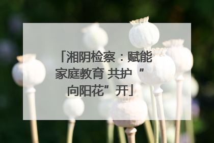 湘阴检察：赋能家庭教育 共护“向阳花”开