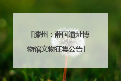 滕州：薛国遗址博物馆文物征集公告