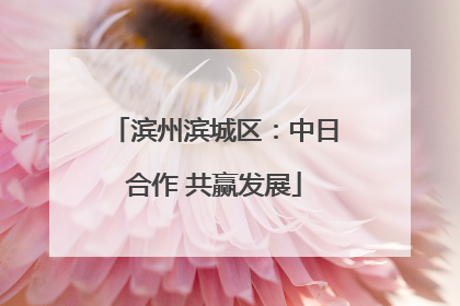滨州滨城区：中日合作 共赢发展