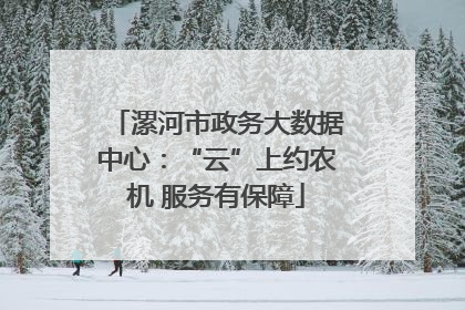 漯河市政务大数据中心：“云”上约农机 服务有保障