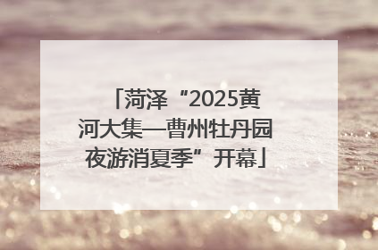 菏泽“2025黄河大集—曹州牡丹园夜游消夏季”开幕
