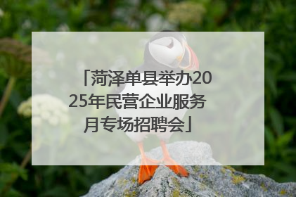菏泽单县举办2025年民营企业服务月专场招聘会