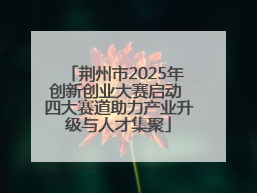 荆州市2025年创新创业大赛启动 四大赛道助力产业升级与人才集聚