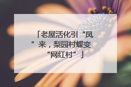 老屋活化引“凤”来，梨园村蝶变“网红村”