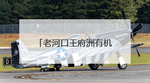 老河口王府洲有机西瓜“甜蜜”上市