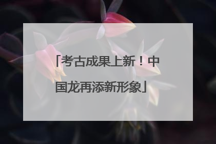 考古成果上新！中国龙再添新形象