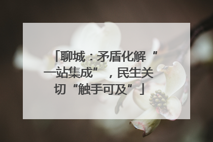 聊城：矛盾化解“一站集成”，民生关切“触手可及”