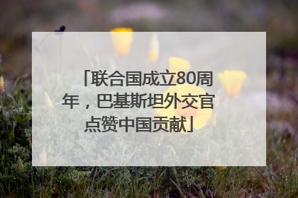 联合国成立80周年，巴基斯坦外交官点赞中国贡献