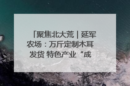 聚焦北大荒｜延军农场：万斤定制木耳发货 特色产业“成绩单”亮眼