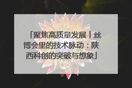 聚焦高质量发展丨丝博会里的技术脉动：陕西科创的突破与想象