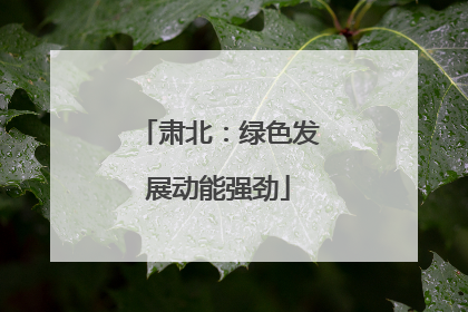 肃北：绿色发展动能强劲