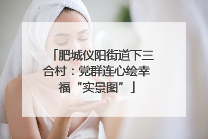 肥城仪阳街道下三合村：党群连心绘幸福“实景图”