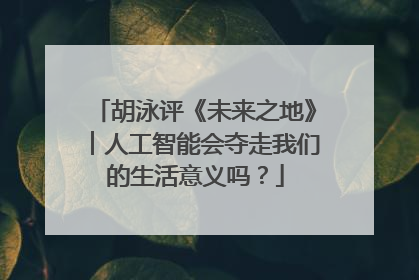 胡泳评《未来之地》︱人工智能会夺走我们的生活意义吗？
