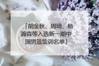 胡金秋、周琦、杨瀚森等入选新一期中国男篮集训名单