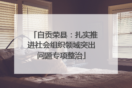 自贡荣县：扎实推进社会组织领域突出问题专项整治
