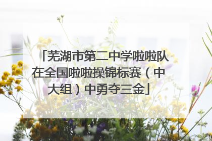 芜湖市第二中学啦啦队在全国啦啦操锦标赛（中大组）中勇夺三金