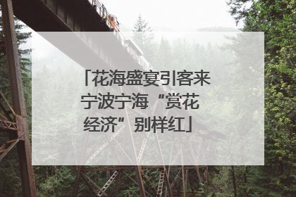 花海盛宴引客来 宁波宁海“赏花经济”别样红