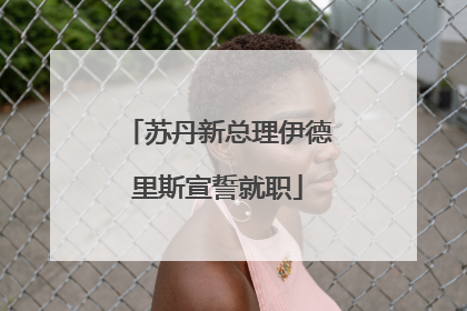 苏丹新总理伊德里斯宣誓就职